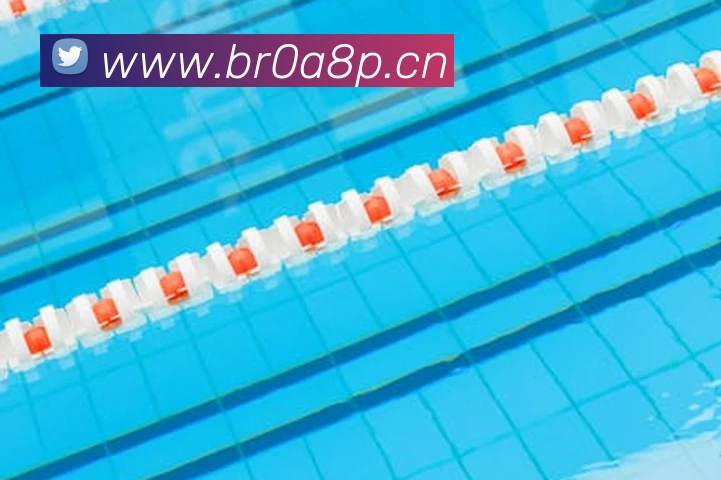 星空体育app直播平台生态图